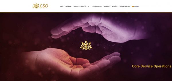 Unternehmenswebseite-fuer-das-Max-Planck-Institut